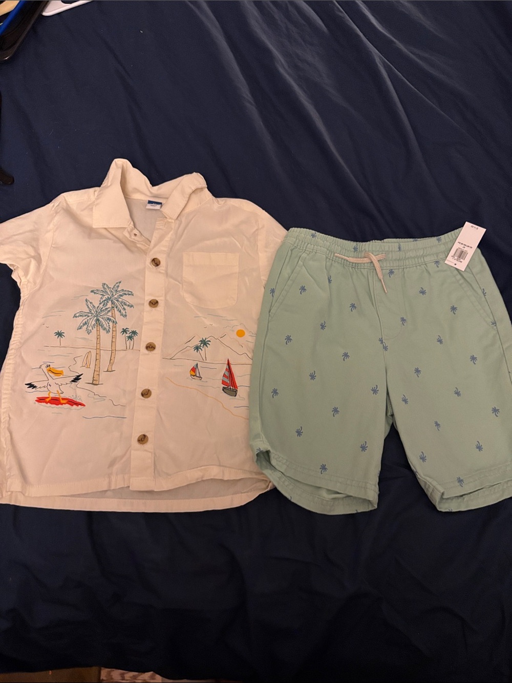 Tropical Embroidered Button-Up Shirt & Palm-Print Shorts Set Boys 5T